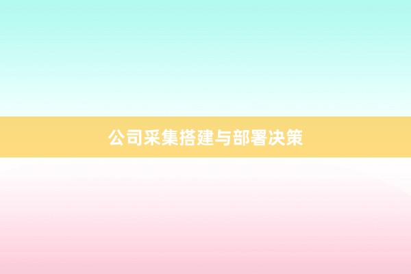 公司采集搭建与部署决策