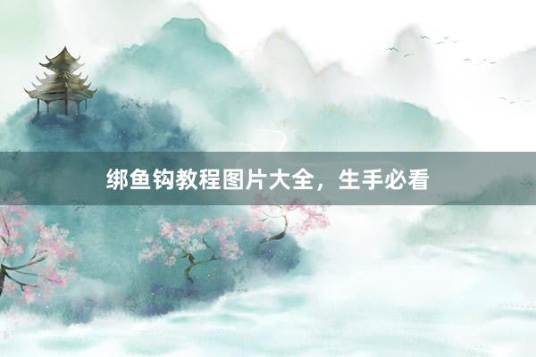 绑鱼钩教程图片大全，生手必看