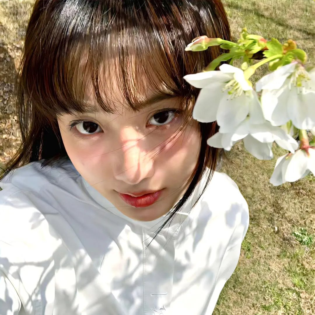 花木兰的秘密